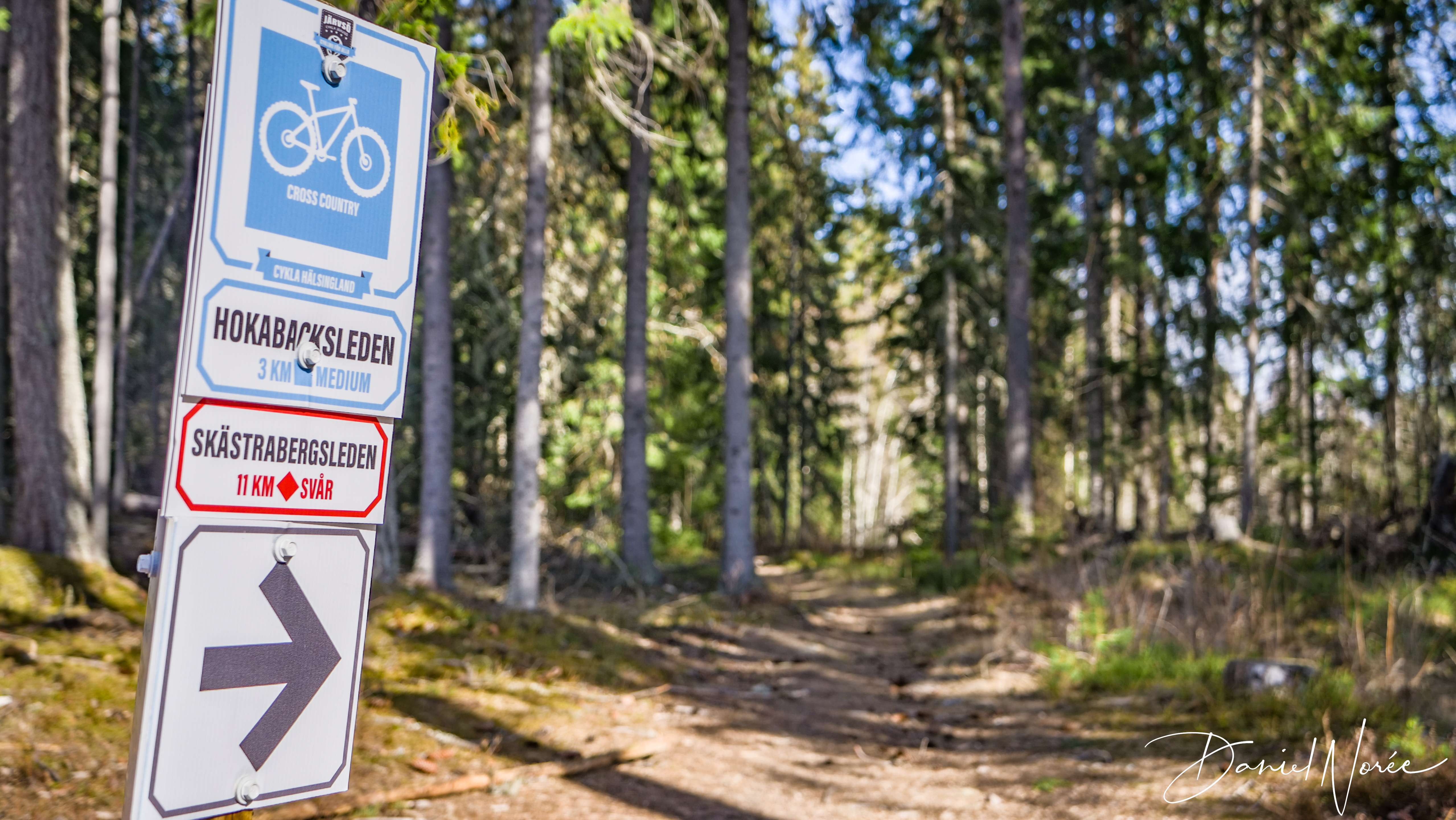 Cykelleder i Järvsö